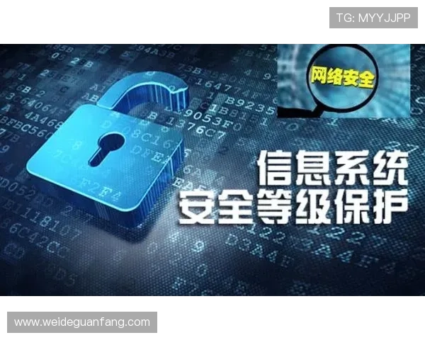 多米体育官方网站安全支付方式与个人信息保护措施
