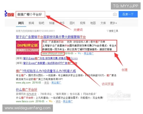如何顺利完成威廉体育会员注册，详细步骤与常见问题解决方案