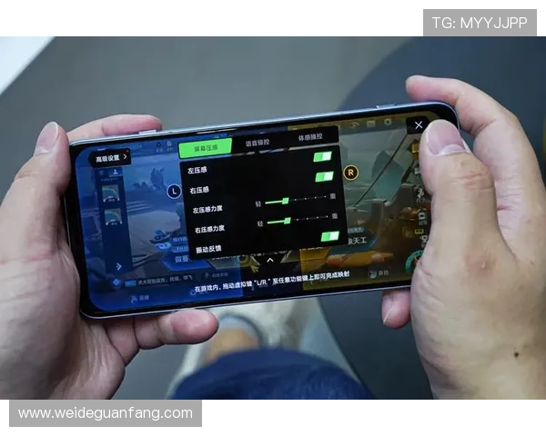盛世平台开户助你轻松开启高收益游戏体验，全面提升玩家的娱乐享受与资金保障