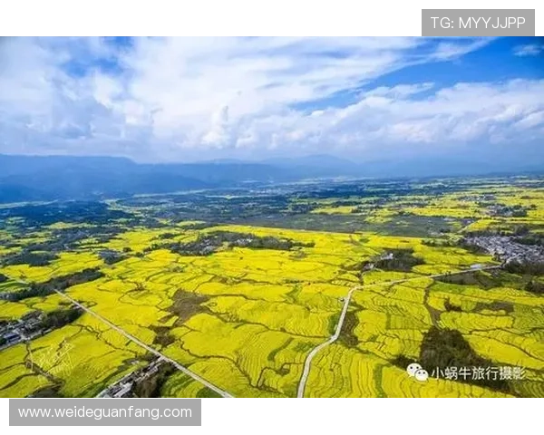 金沙体育平台最新官方入口，提供全面安全的体育赛事直播与投注服务