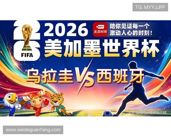 世界杯乌拉圭西班牙比赛的真实性分析赛事现场报道与专家解读